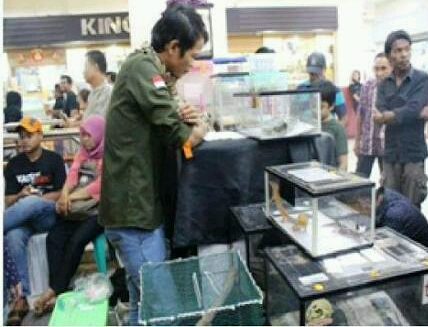 Retic Contest Sita Perhatian Pengunjung MPi