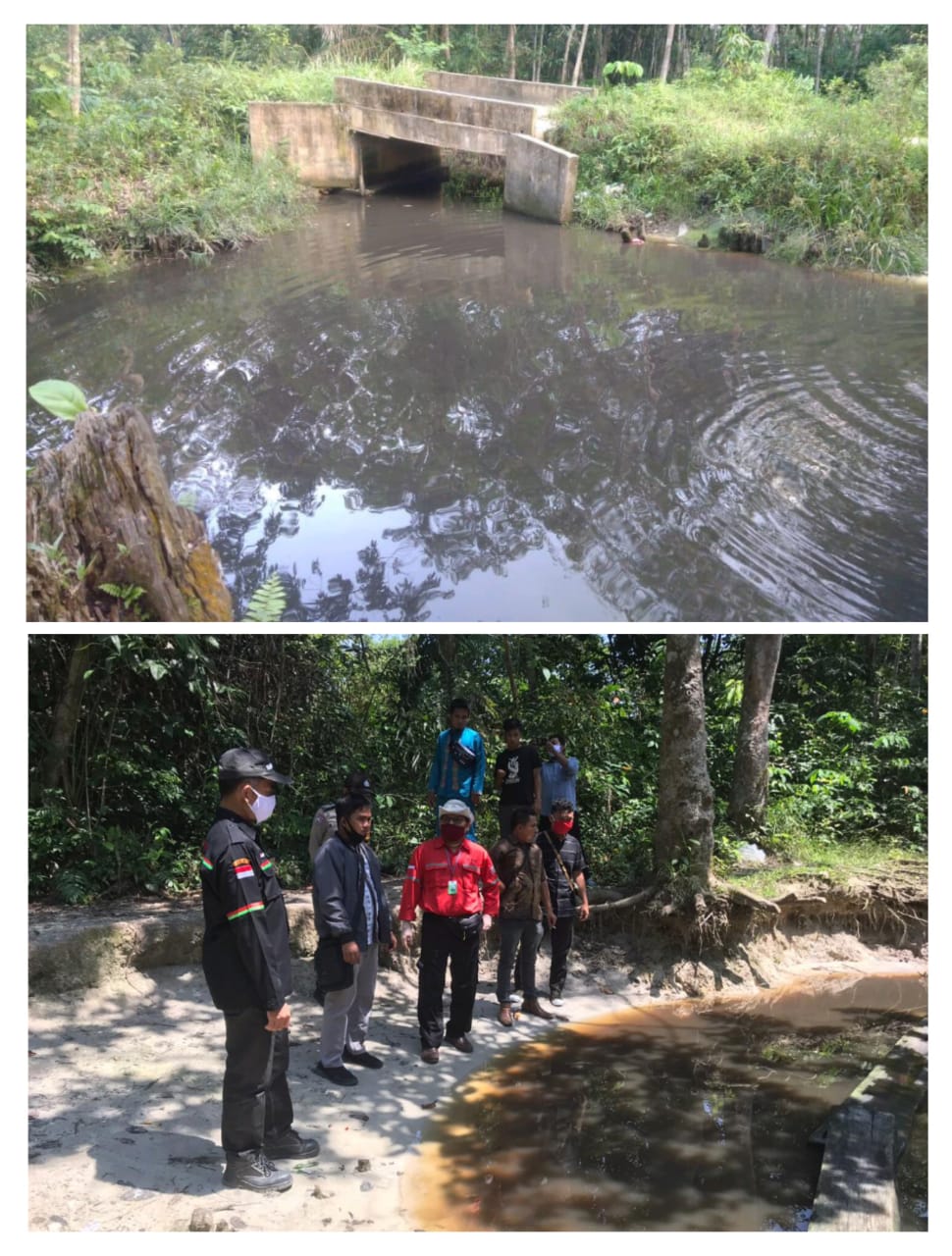Limbah hasil penumbangan ekaliptus PT. Arara Abadi cemari lingkungan Limbah hasil penumbangan ekaliptus PT. Arara Abadi cemari lingkungani
