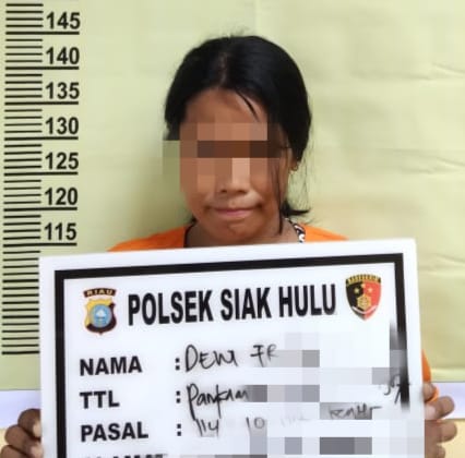 Diduga Edarkan Narkotika Jenis Shabu, Wanita ini Diamankan Polsek Siak Hulu Diduga Edarkan Narkotika Jenis Shabu, Wanita ini Diamankan Polsek Siak Hului