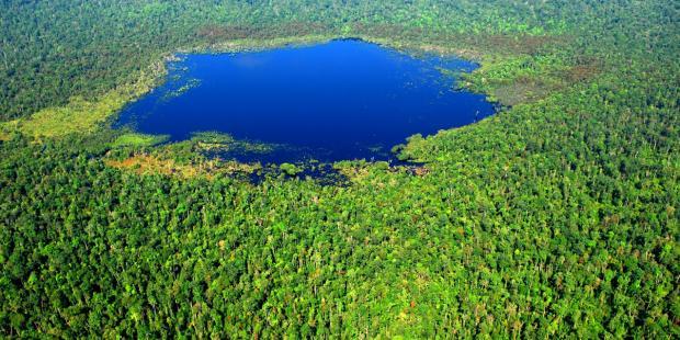 Kawasan TNTN Rusak, Edaran Larang Tanam Sawit Terbit Kawasan TNTN Rusak, Edaran Larang Tanam Sawit Terbiti