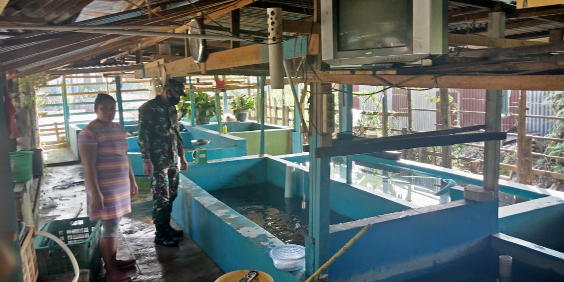 Pelda Budiman Sambangi Agen Ikan Air Tawar Di Desa Binaan