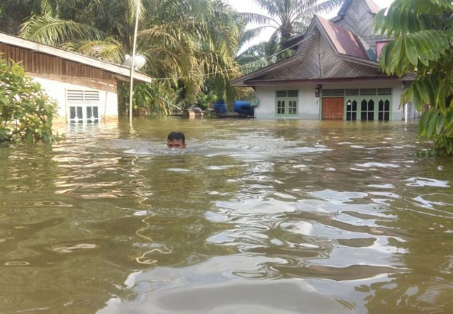 Hendak Adukan Bencana Alam di Pekanbaru? Call Saja 08117651464 Hendak Adukan Bencana Alam di Pekanbaru? Call Saja 08117651464i