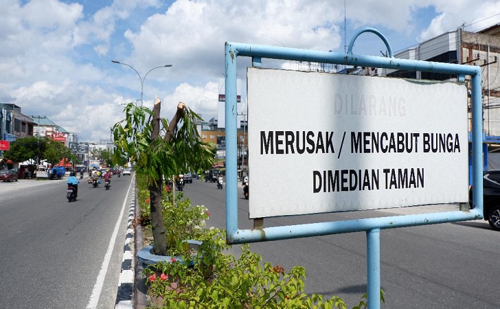 Laporan Dicabut, Pelaku Penebang Pohon Ternyata Bayar Rp 415 Juta Laporan Dicabut, Pelaku Penebang Pohon Ternyata Bayar Rp 415 Jutai