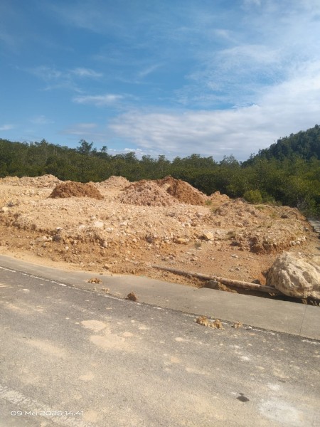 Mangrove Kawasan Mandeh Hancur, DLH Sumbar dan Camat Diduga Tutup Mata Mangrove Kawasan Mandeh Hancur, DLH Sumbar dan Camat Diduga Tutup Matai