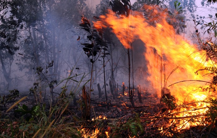 Direktur PT DSI Ditetapkan Sebagai Tersangka Pembakar Lahan di Riau Direktur PT DSI Ditetapkan Sebagai Tersangka Pembakar Lahan di Riaui