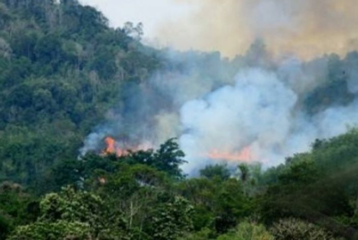 33 Hotspot Terdeteksi di Riau, Terbanyak di Rokan Hilir 33 Hotspot Terdeteksi di Riau, Terbanyak di Rokan Hiliri