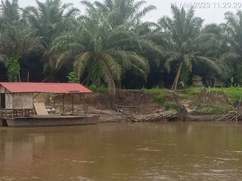 Tambang Galian C Di Duga Kasih UPETI,Kepada Pemerintah Kabupaten Rokan hulu Riau,LSM Bara api Wakil Direktur Investigasi Boyman sandi Segera Laporkan ke Instansi Terkait.