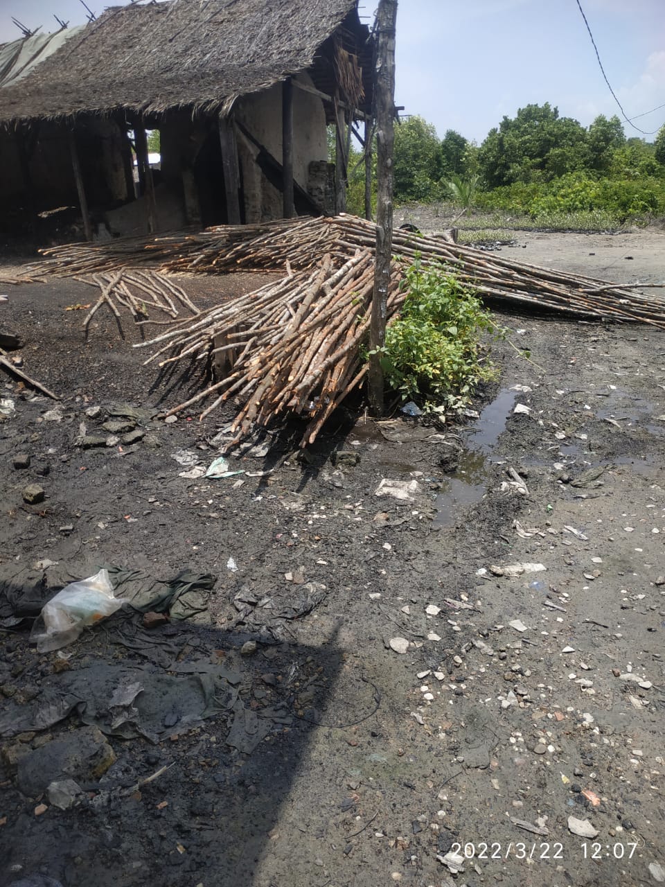 Usaha Arang milik Apeng Dumai menggunakan bahan baku kayu mangrove Usaha Arang milik Apeng Dumai menggunakan bahan baku kayu mangrovei