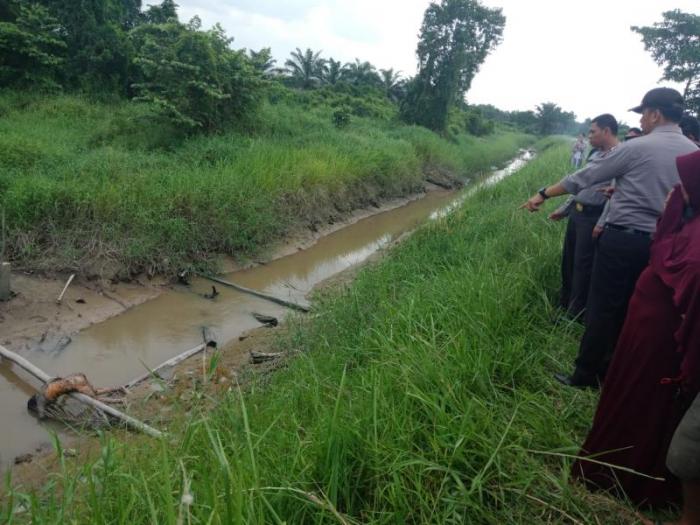Penemuan Mayat Perempuan Setengah Bugil Gegerkan Warga Sungai Umban Penemuan Mayat Perempuan Setengah Bugil Gegerkan Warga Sungai Umbani