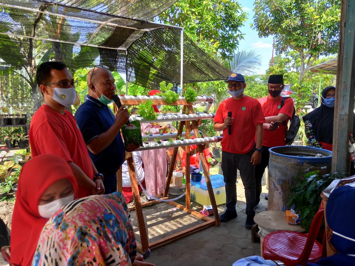 LPPM UNRI Taja Pelatihan Hidroponik bagi warga Kelurahan Tangkerang Labuai Pekanbaru LPPM UNRI Taja Pelatihan Hidroponik bagi warga Kelurahan Tangkerang Labuai Pekanbarui