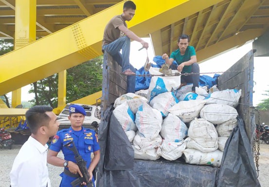 Polda Riau Gagalkan Penyelundupan 6.000 Ekor Belangkas