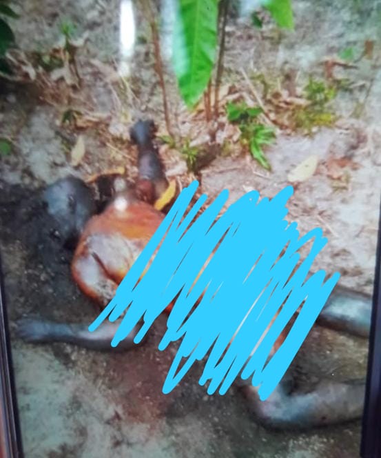 Polda Riau dalami kasus pembunuhan di Rohil Polda Riau dalami kasus pembunuhan di Rohili