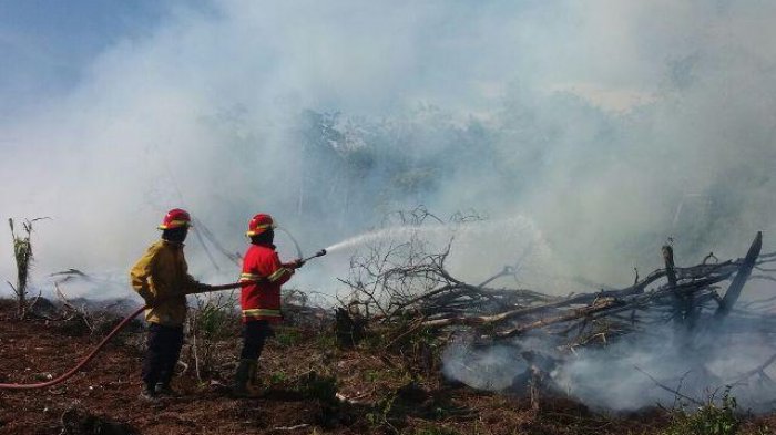 Waduh, Kejati Riau kembalikan berkas perkara korporasi tersangka Karhutla Waduh, Kejati Riau kembalikan berkas perkara korporasi tersangka Karhutlai