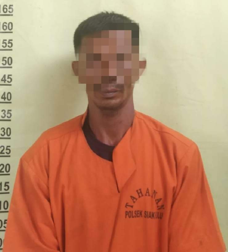 Polsek Siak Hulu Amankan Sopir Beserta Truk Bermuatan Kayu Bulat Diduga Hasil Pembalakan Liar Polsek Siak Hulu Amankan Sopir Beserta Truk Bermuatan Kayu Bulat Diduga Hasil Pembalakan Liari