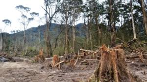 Terbitkan Sertifikat diatas Lahan HPT, Senarai Minta Eks Kepala BPN Kampar Dihukumi