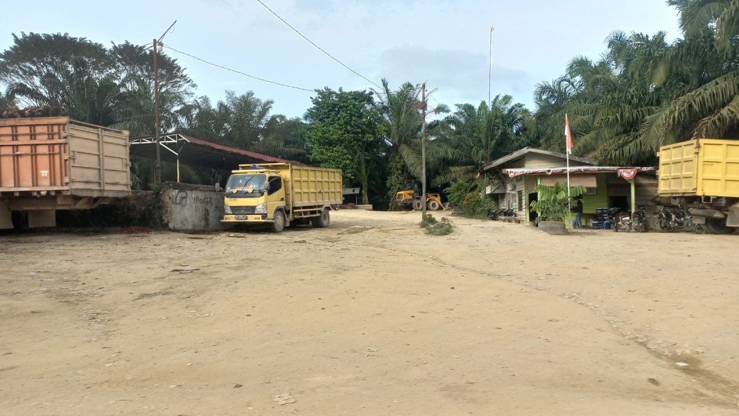 Inilah Nama-nama Toke Diduga Mafia Perambah Tesso Nilo di Bukit Kusuma