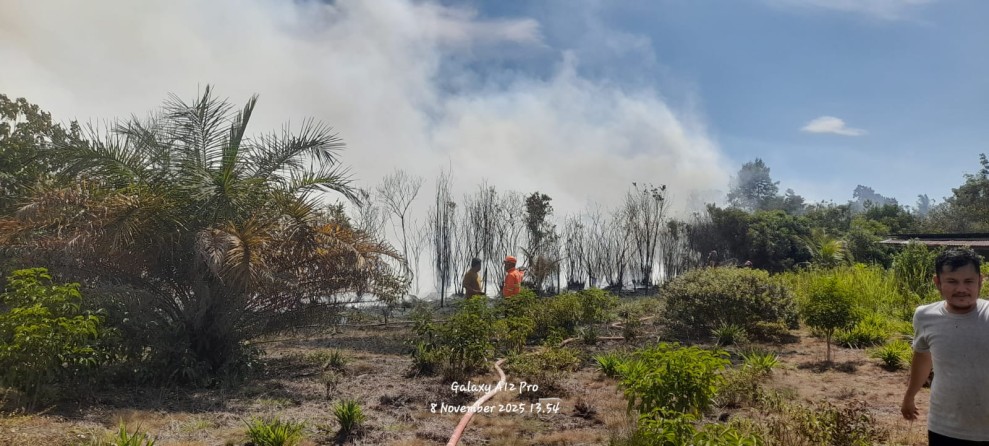 Hangus Lahan di Desa Salo di Bakar Api, Akibat Damkar Lambat Datangi