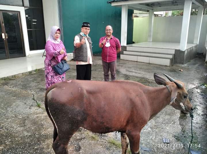 SPS Riau Gandeng Forhati, Kurban 1 Ekor Sapi di Pusgit HMI Jalan Melayu SPS Riau Gandeng Forhati, Kurban 1 Ekor Sapi di Pusgit HMI Jalan Melayui