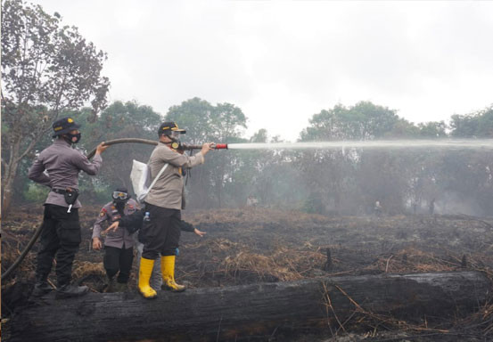 Kapolres Pelalawan dan Tim Berjibaku Padamkan Karhutla di Teluk Meranti Kapolres Pelalawan dan Tim Berjibaku Padamkan Karhutla di Teluk Merantii