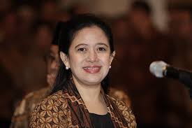 Puan Sebut para Wantipres Bukan Representasi Partaii