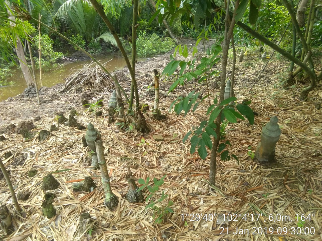 Nasib Makam Tua Berusia 500 Tahun Terbengkalai di Bengkalis Nasib Makam Tua Berusia 500 Tahun Terbengkalai di Bengkalisi